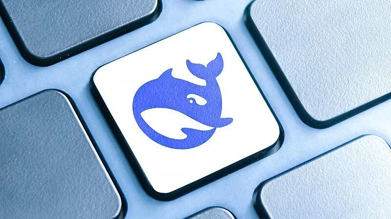 DeepSeek 开放平台能力示意图